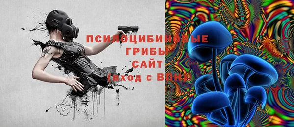 твердый Армянск