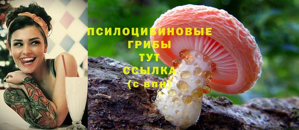 2c-b Арсеньев