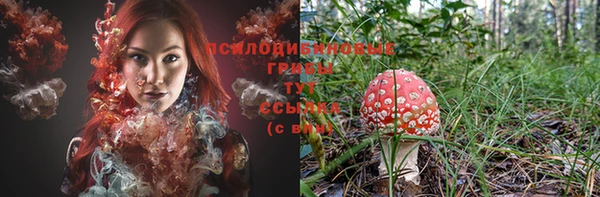 прущий лед Михайловка
