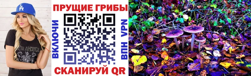 Псилоцибиновые грибы прущие грибы  ОМГ ОМГ ссылка  Богородск 